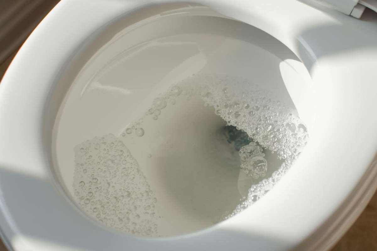 aceto bianco nel water