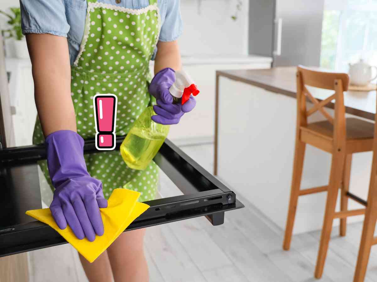 casalinga che pulisce il forno