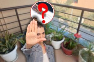 balcone con piante, punto interrogativo su insetto forbice e donna che fa stop con le mani