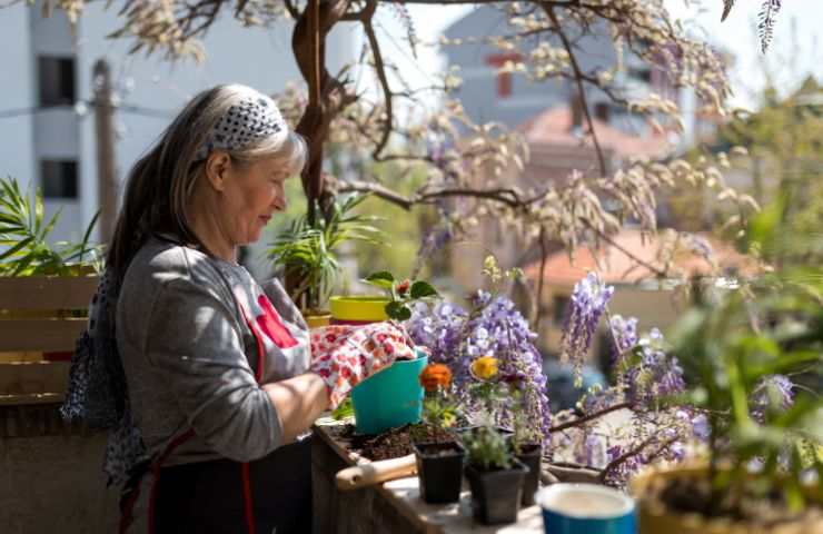 donna sul balcone che si prende cura delle sue piante