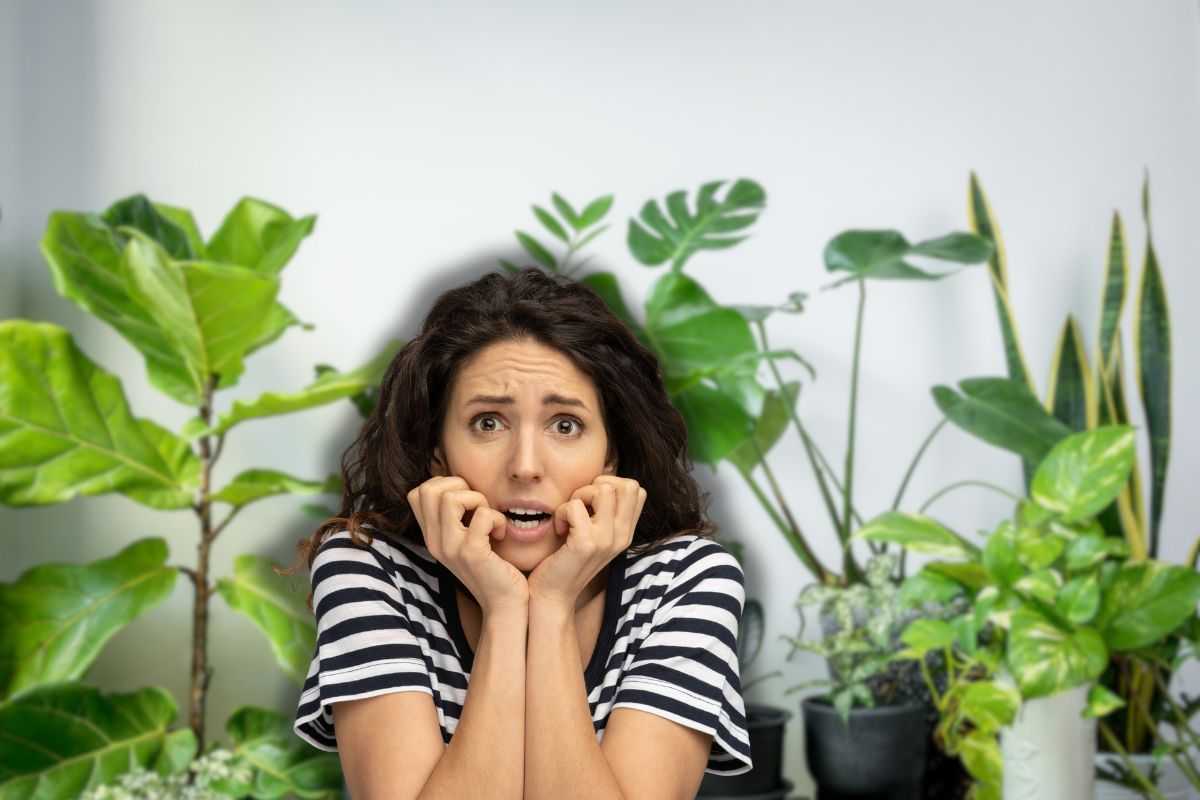 piante d'appartamento e donna spaventata