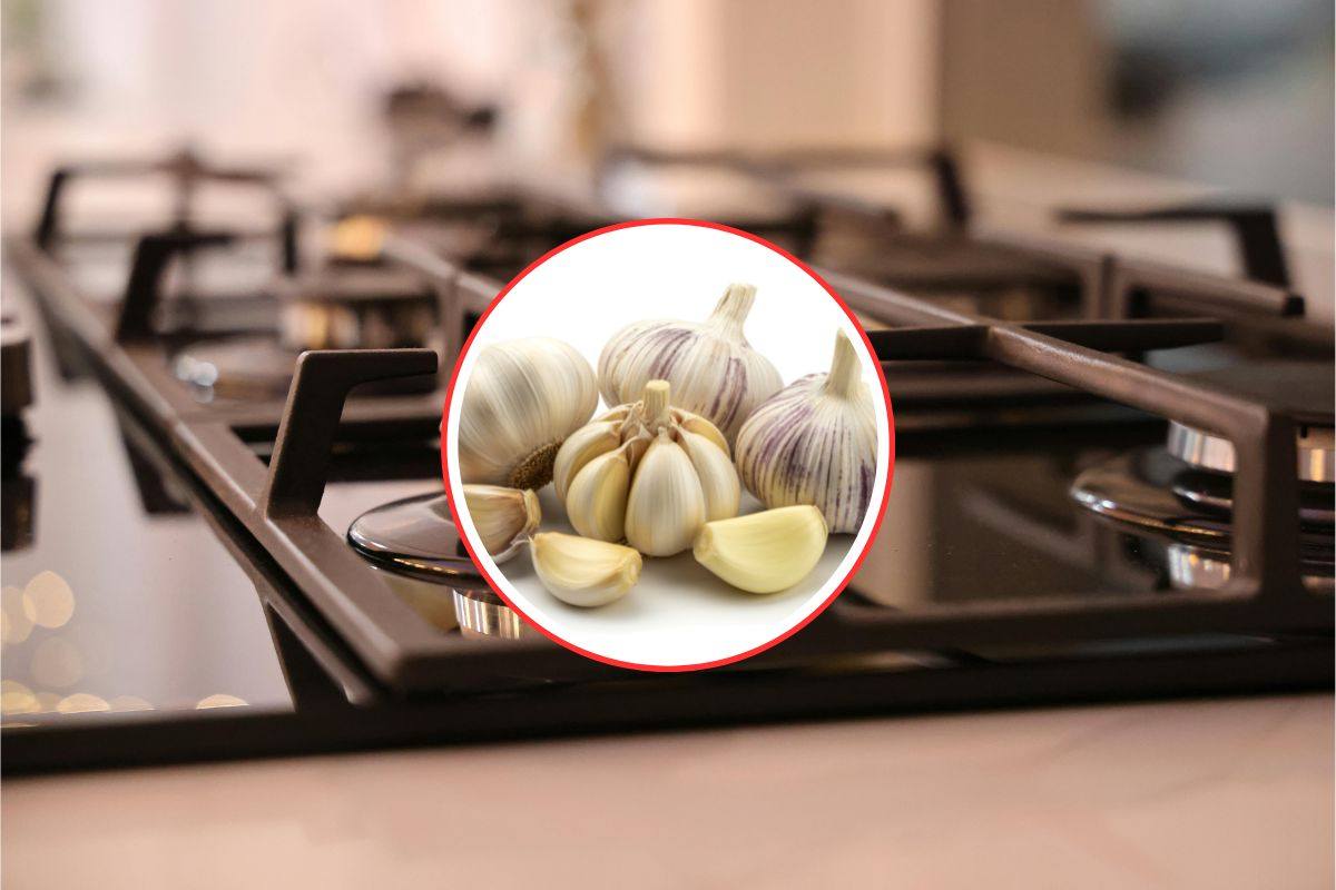 piano cottura e spicchio d'aglio